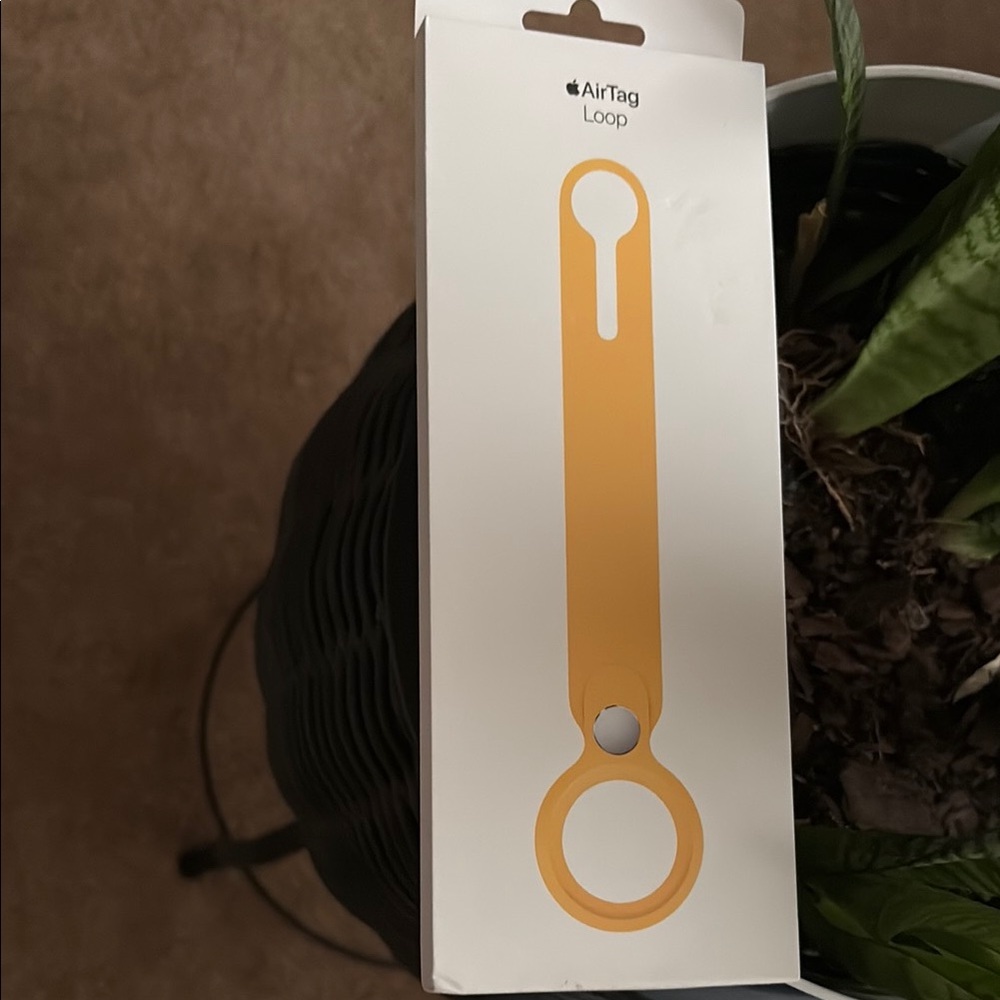 Apple Orange Accents Minimalist Design